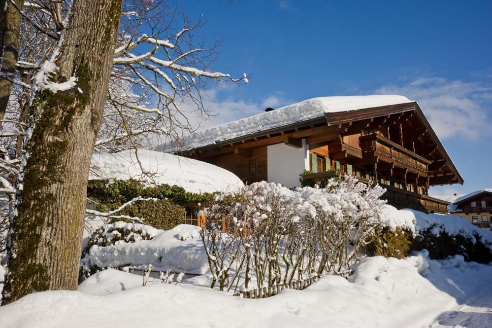 Bed and Breakfast Haus Garden à Ellmau Extérieur photo